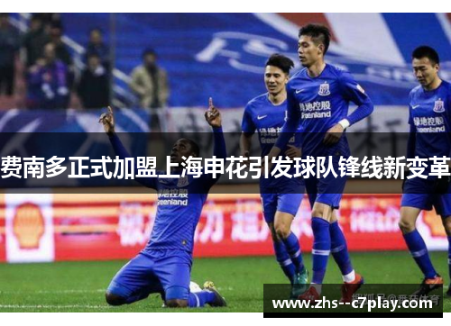 费南多正式加盟上海申花引发球队锋线新变革 费南多正式加盟上海申花引发球队锋线新变革