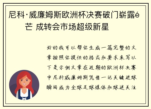 尼科·威廉姆斯欧洲杯决赛破门崭露锋芒 成转会市场超级新星