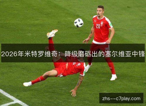2026年米特罗维奇：降级磨砺出的塞尔维亚中锋